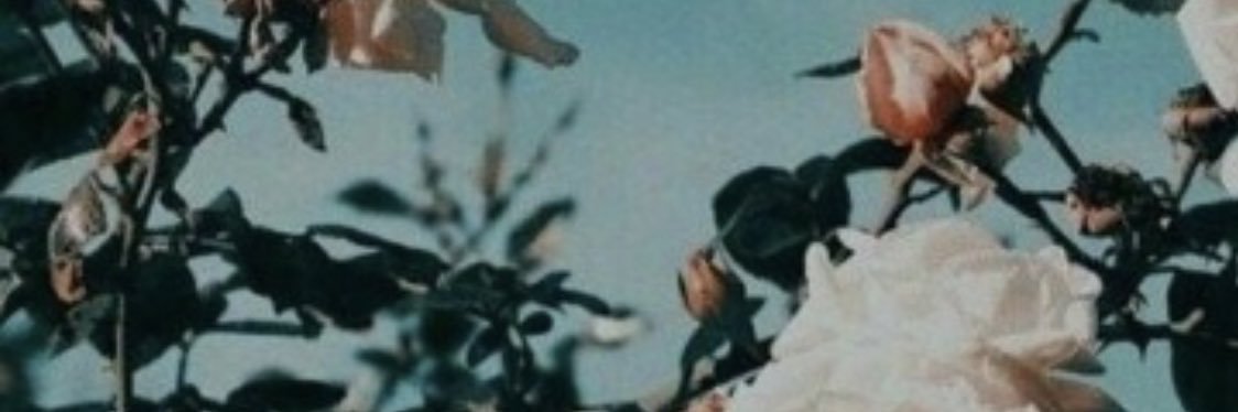 alicemariaaaa's profile banner image