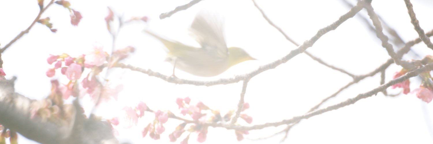 camerawing's profile banner image