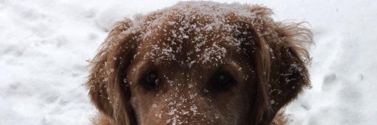 AdaamDaly's profile banner image