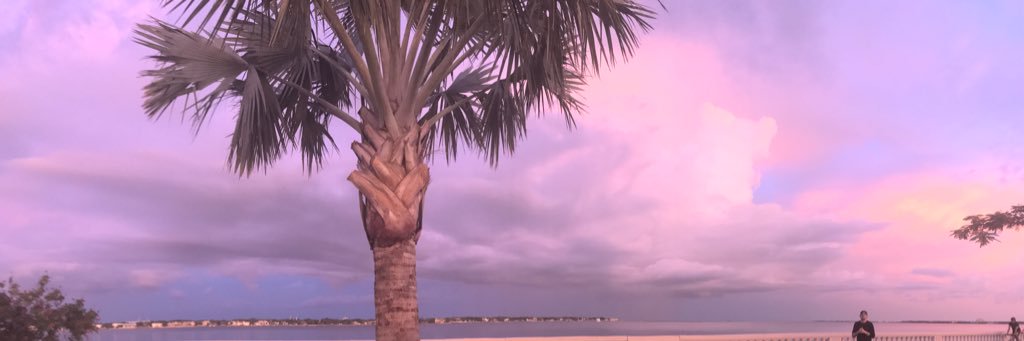 RockinSecurity's profile banner image