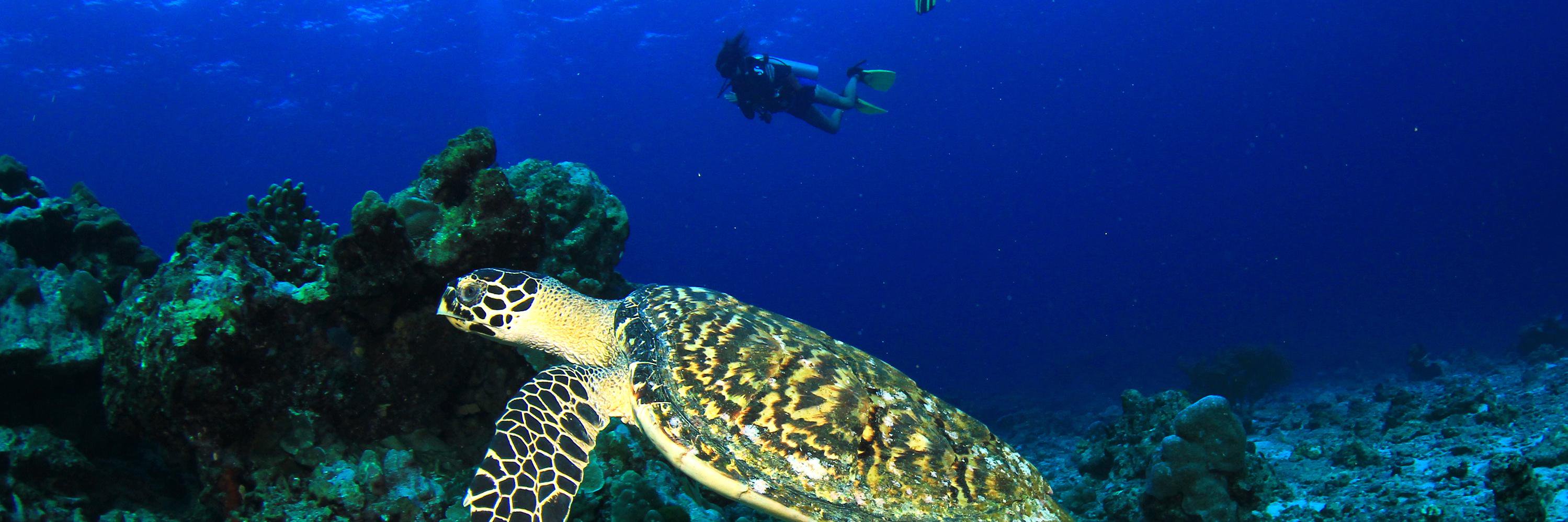 TravelYucatan's profile banner image