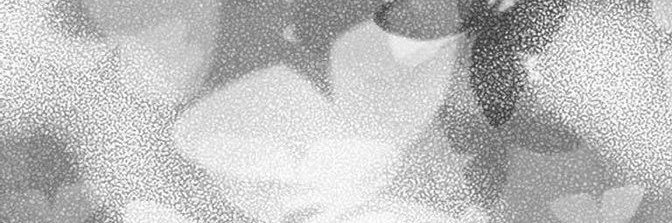 bu_schk's profile banner image