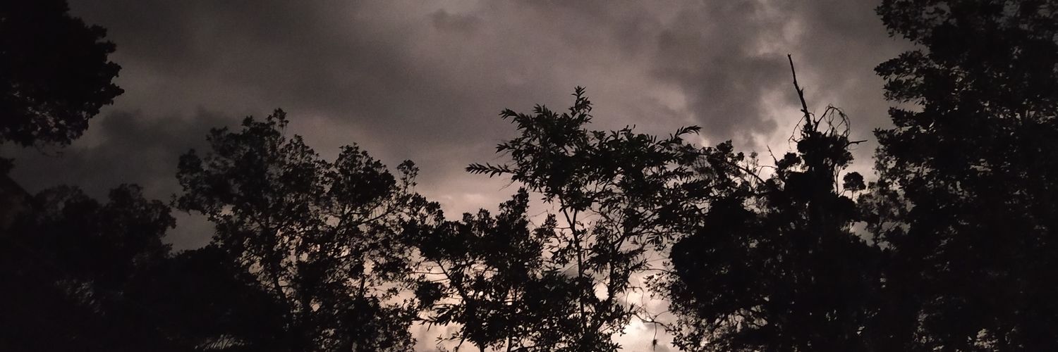 sofiapena06's profile banner image