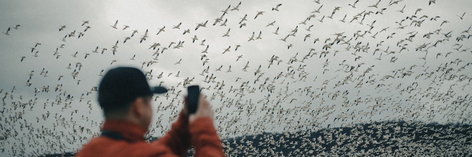 DavidPatrushev's profile banner image