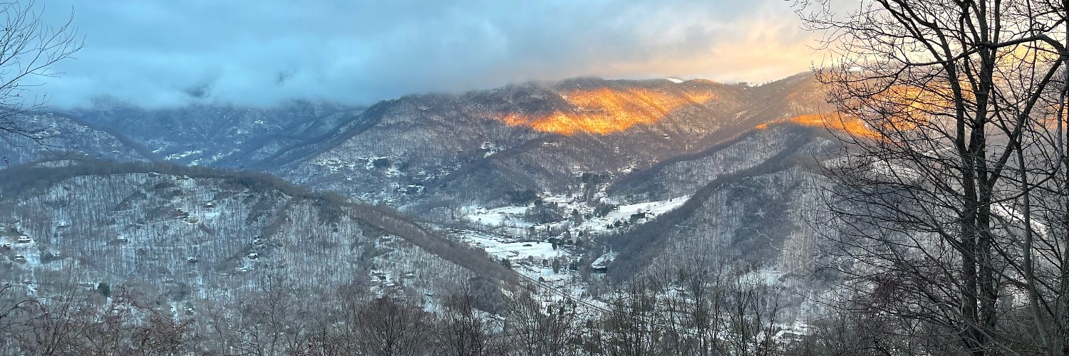 Kyle Perrotti banner