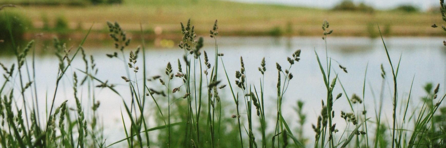 collarbonesmile's profile banner image