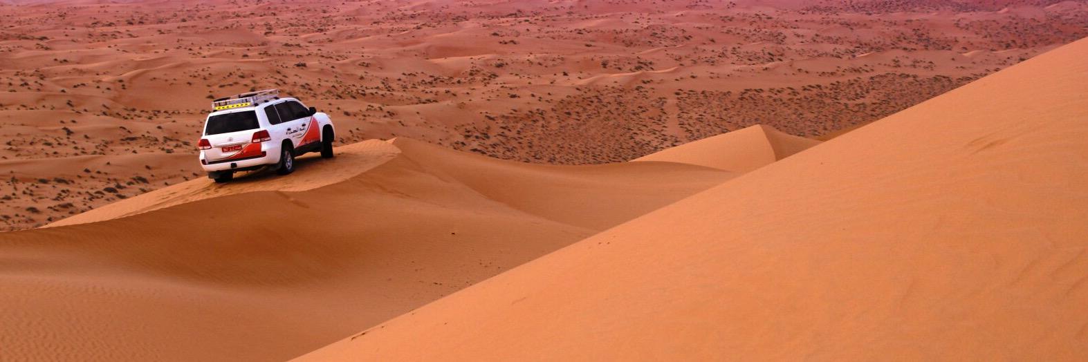 DesertThunderTT's profile banner image