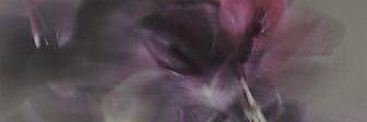 drty_bby's profile banner image