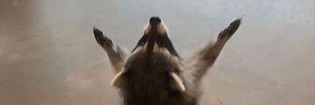 thisisnige's profile banner image