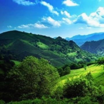 Nani推特刷粉丝13元1千 蓝V代开85元1月 老号2元1个 🚩 🎉 banner