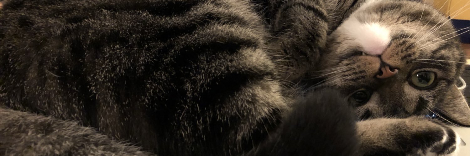 _Phyllis_'s profile banner image