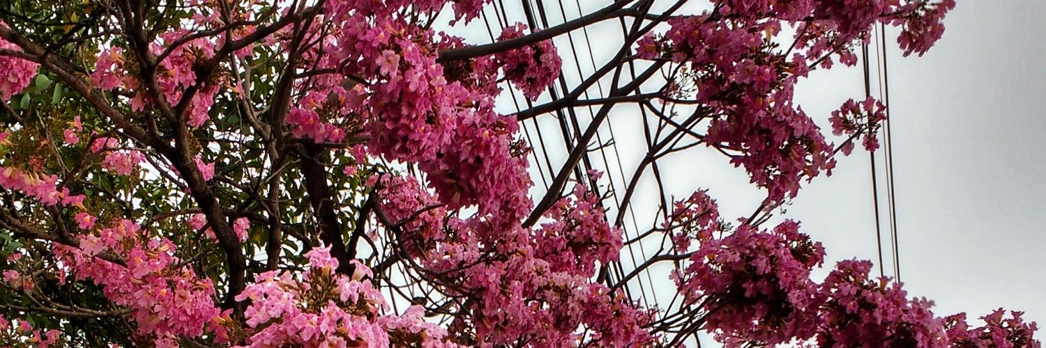 gioolv_'s profile banner image