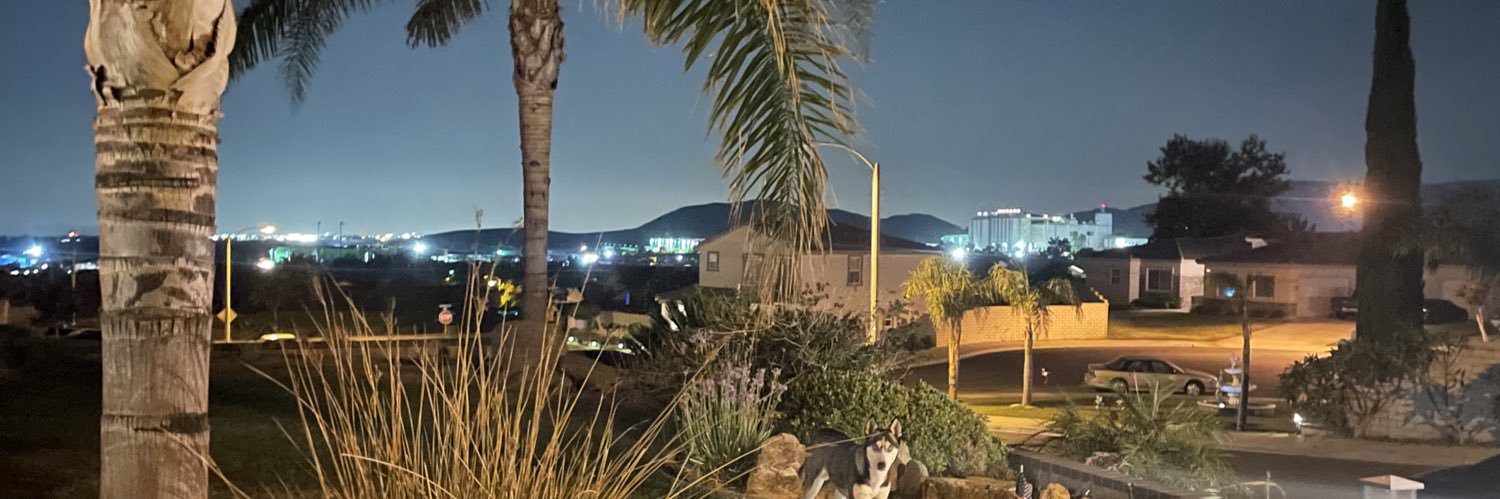 DannieBlitz's profile banner image