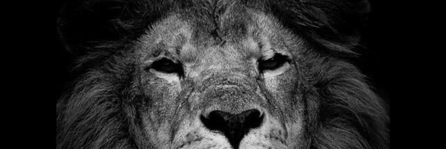 oborgesgui's profile banner image