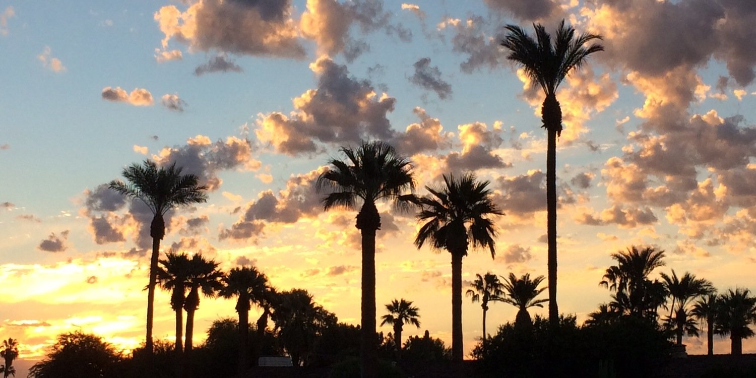 Connie Schrock banner