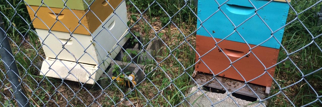 WL Outdoor Ed Center banner