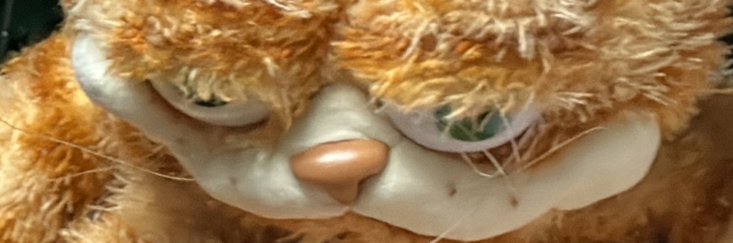 torihowton's profile banner image