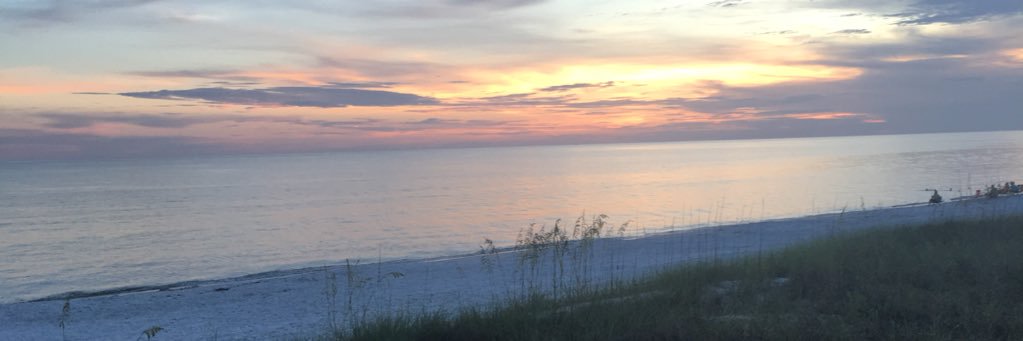 caitlynsmith03's profile banner image