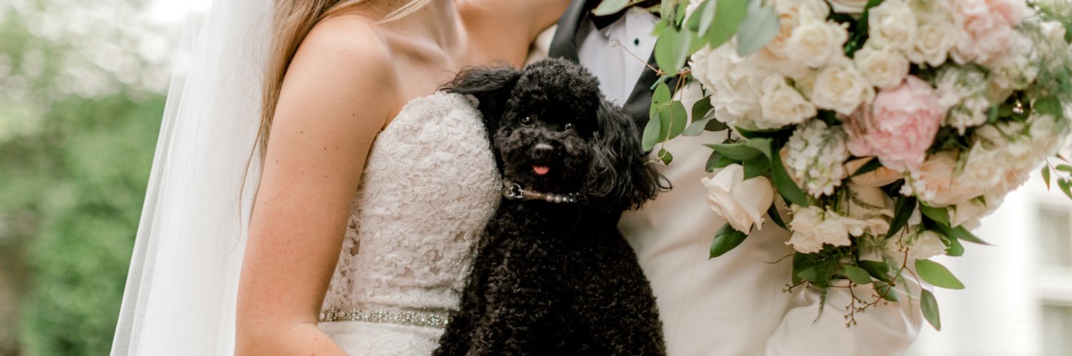 stbroadaway's profile banner image