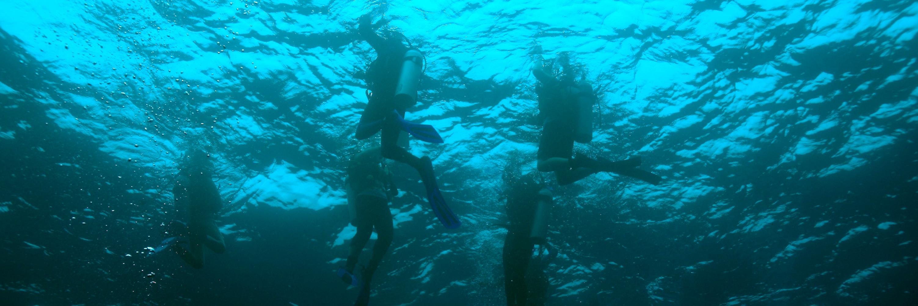 Prof David J Smith banner