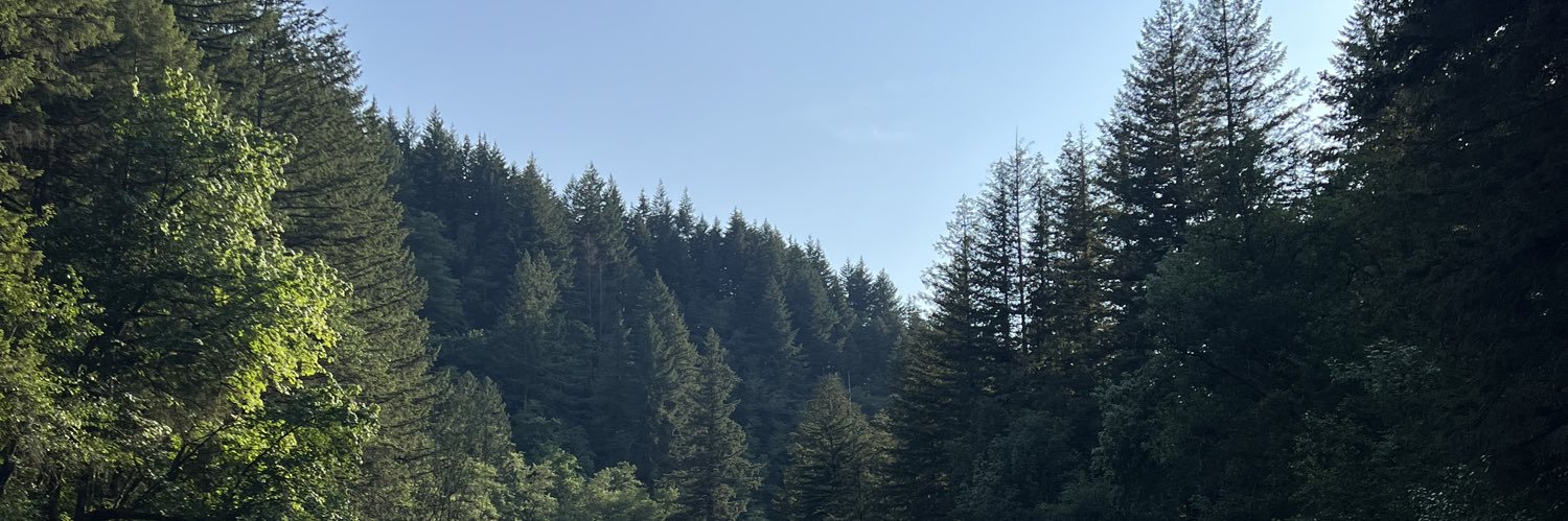 gothmeme's profile banner image