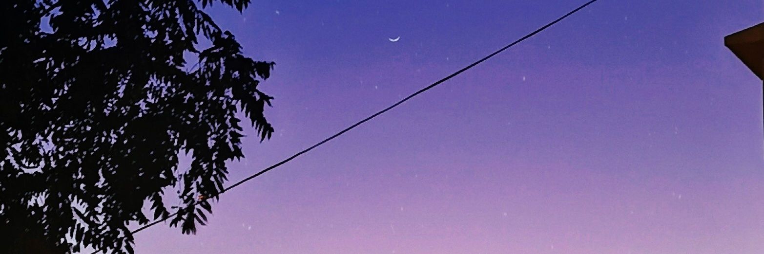 telayrobles's profile banner image