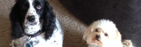theinitz's profile banner image