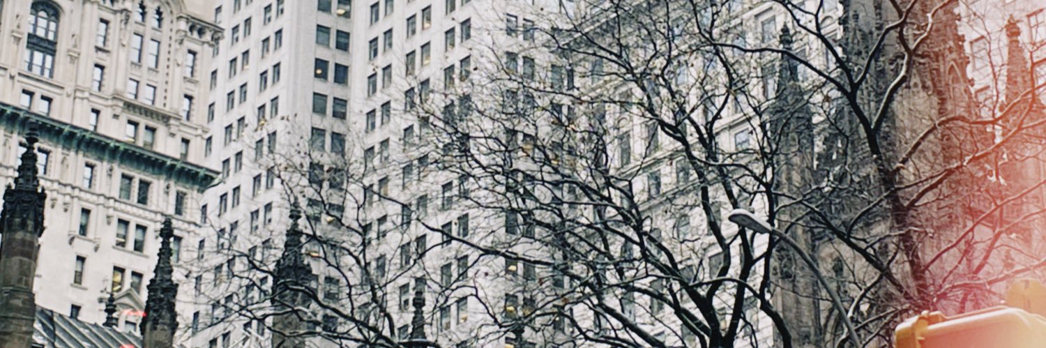 ashlynsturm's profile banner image
