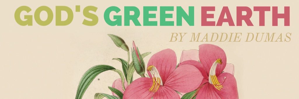 mpdumas's profile banner image