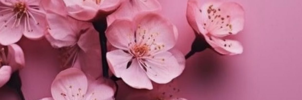 MiriamMarano's profile banner image