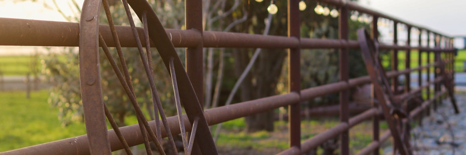kronjin's profile banner image