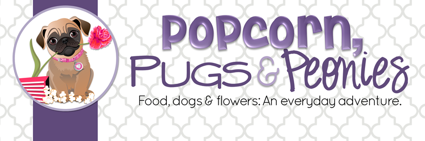 PopPugPeoBlog's profile banner image