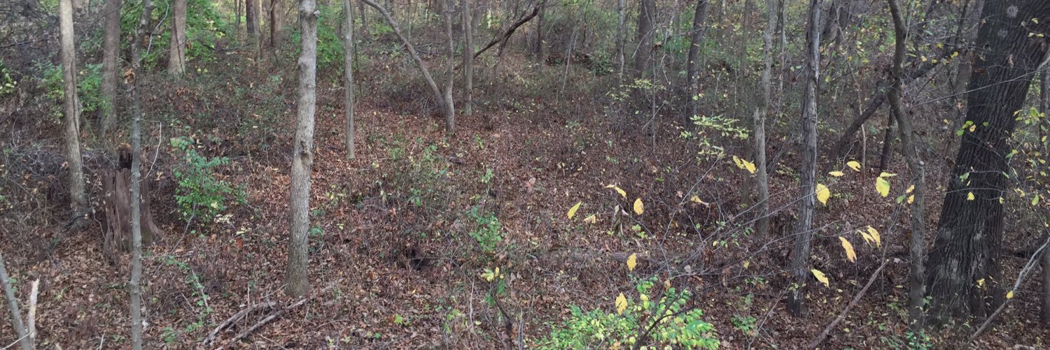 Ben Studebaker banner