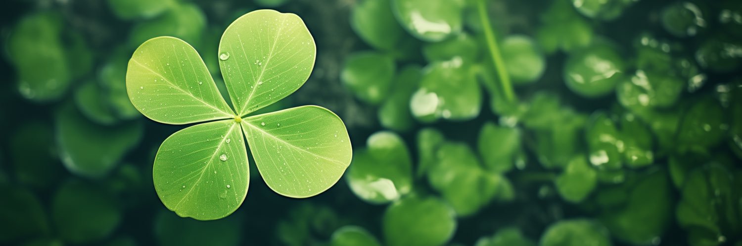 melianachandra's profile banner image