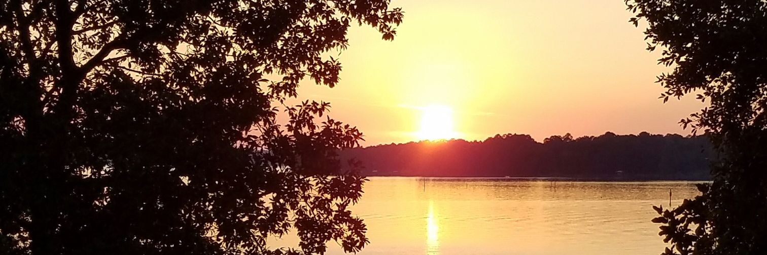 TreyAnderson99's profile banner image