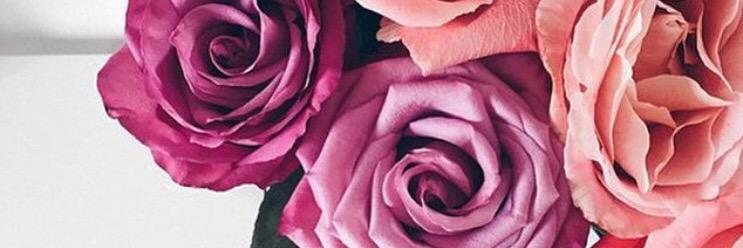 jesssicacc's profile banner image
