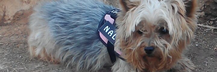 Mario Chafer Carrion banner