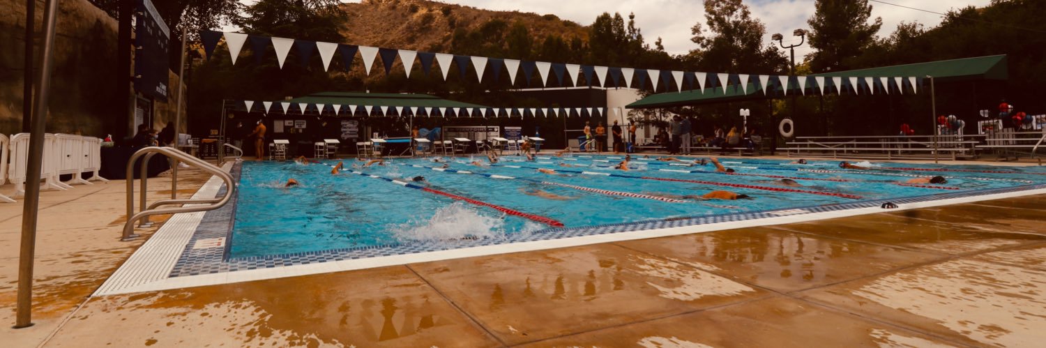 Viewpoint Swimming banner