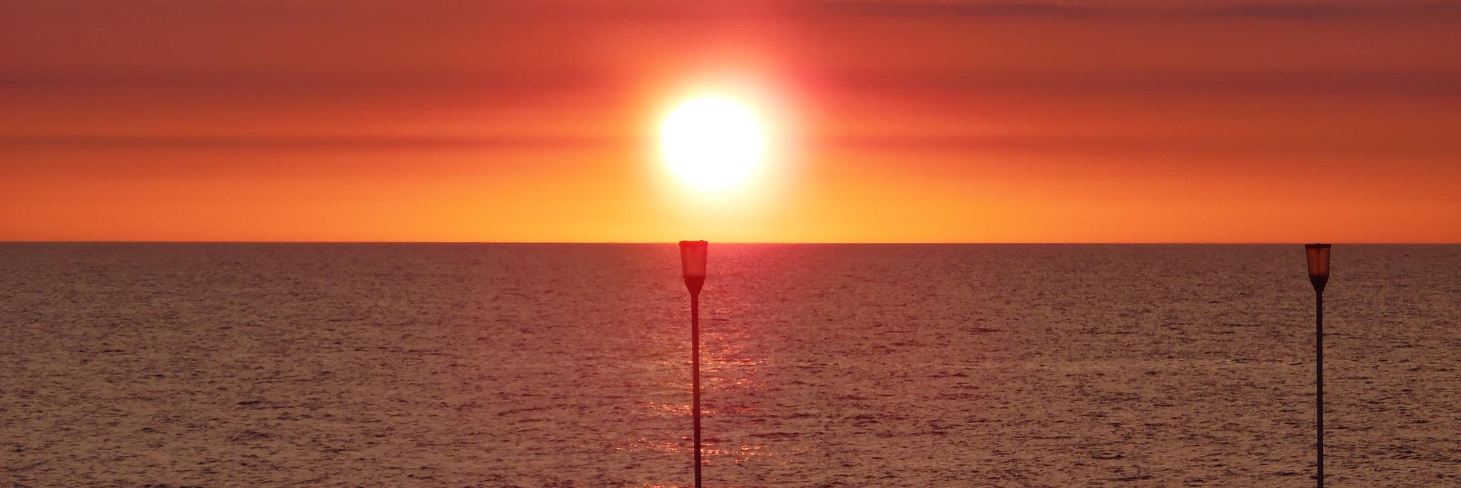 Mariola Kroczek banner