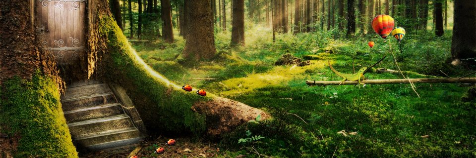 FairiesFlight's profile banner image