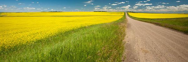 rm457 Profile Banner