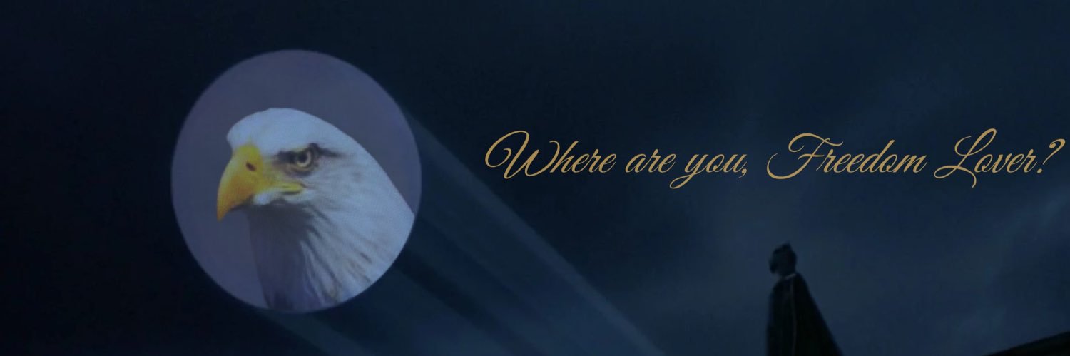 connor banner