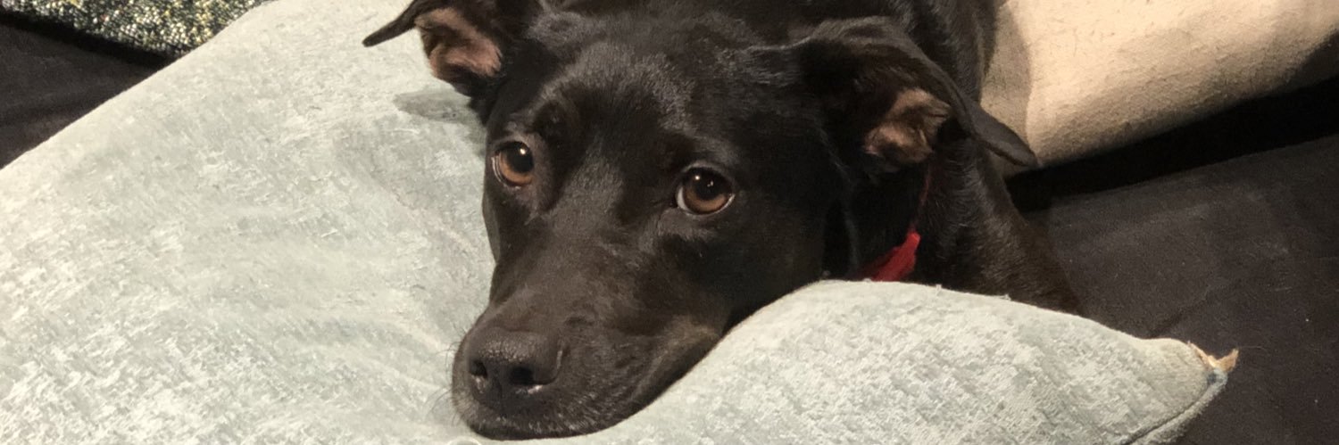 beecaveroad's profile banner image