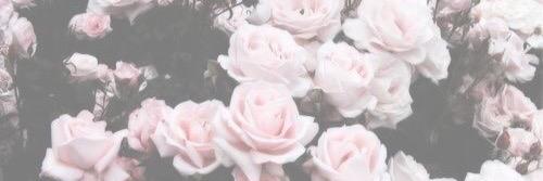 BrianneJean_'s profile banner image