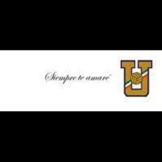 luis_luisro's profile banner image
