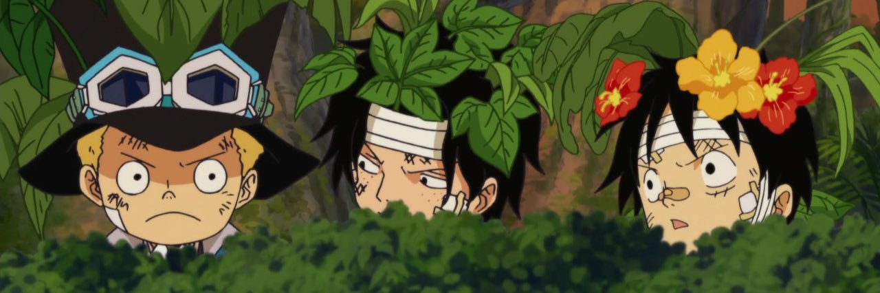 MandarinDing's profile banner image