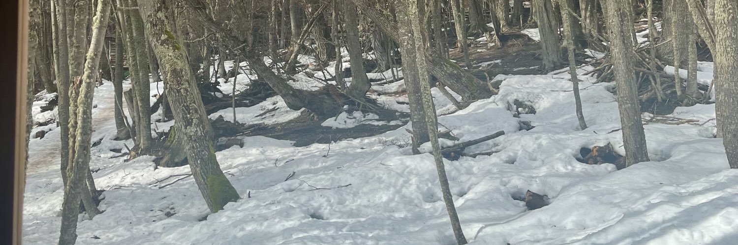 •𝕍𝕚𝕣 𝕀𝕥𝕙𝕦𝕣𝕓𝕚𝕕𝕖•💜✊ banner