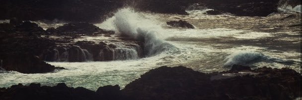 Naadtm's profile banner image