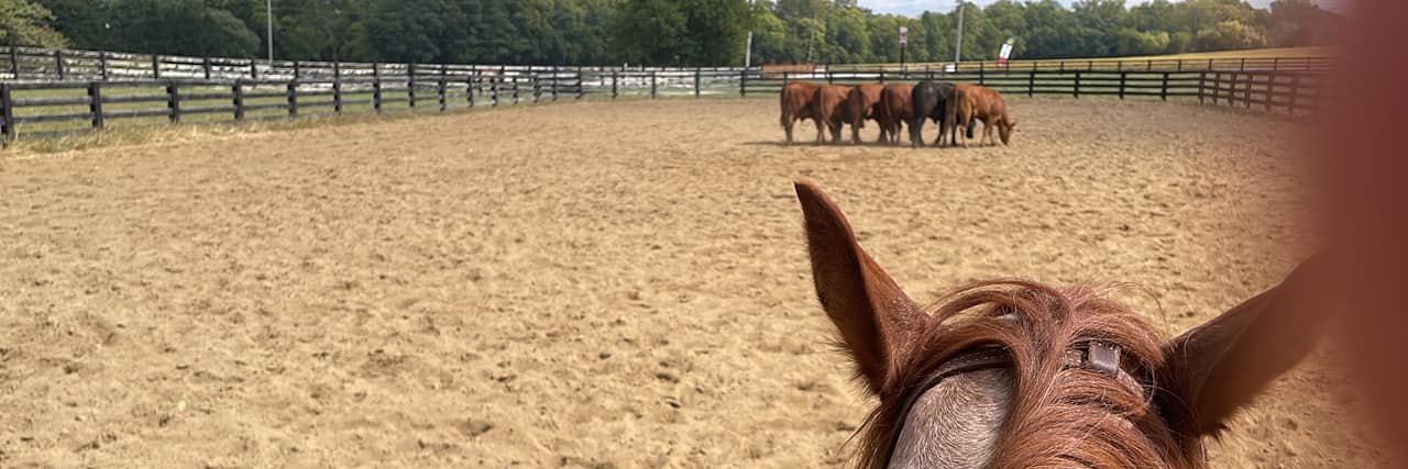 Blystonefarm's profile banner image