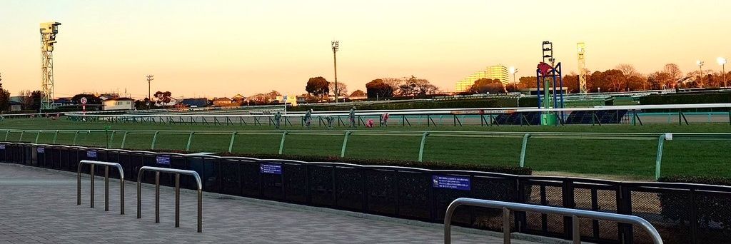 とりっぴー🍅 banner